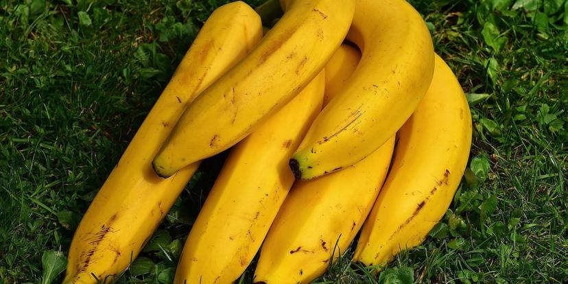 Bananas