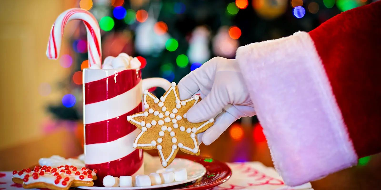 Hand in Santa outfit holding gingerbread star cookie with festive holiday mug and Christmas lights background.