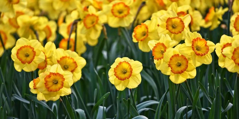 March (Month)