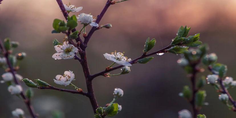 May (Month)