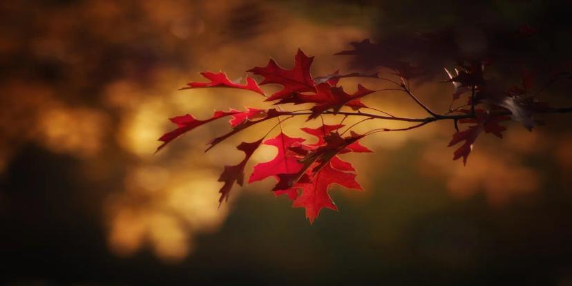 September (Month)