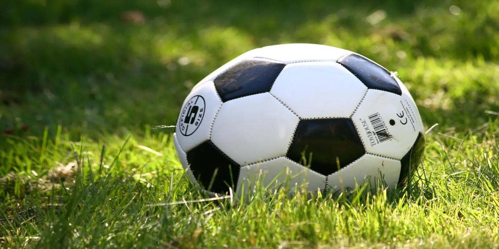 Soccer ball with classic black and white hexagon pattern resting on green grass in sunlight.
