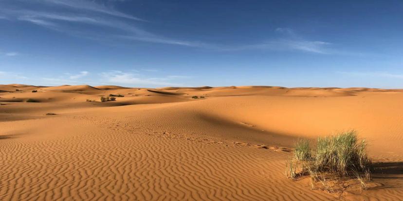 Sahara Desert