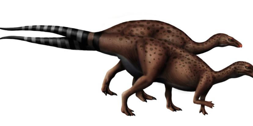 Camptosaurus