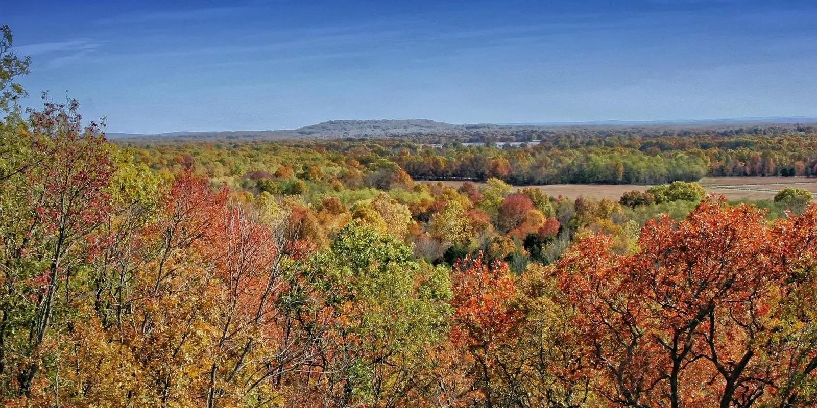 Panoramic view of autumn foliage in the Arkansas Ozarks, with vibrant red, orange, and yellow trees stretching toward distant mountains under a clear blue sky.