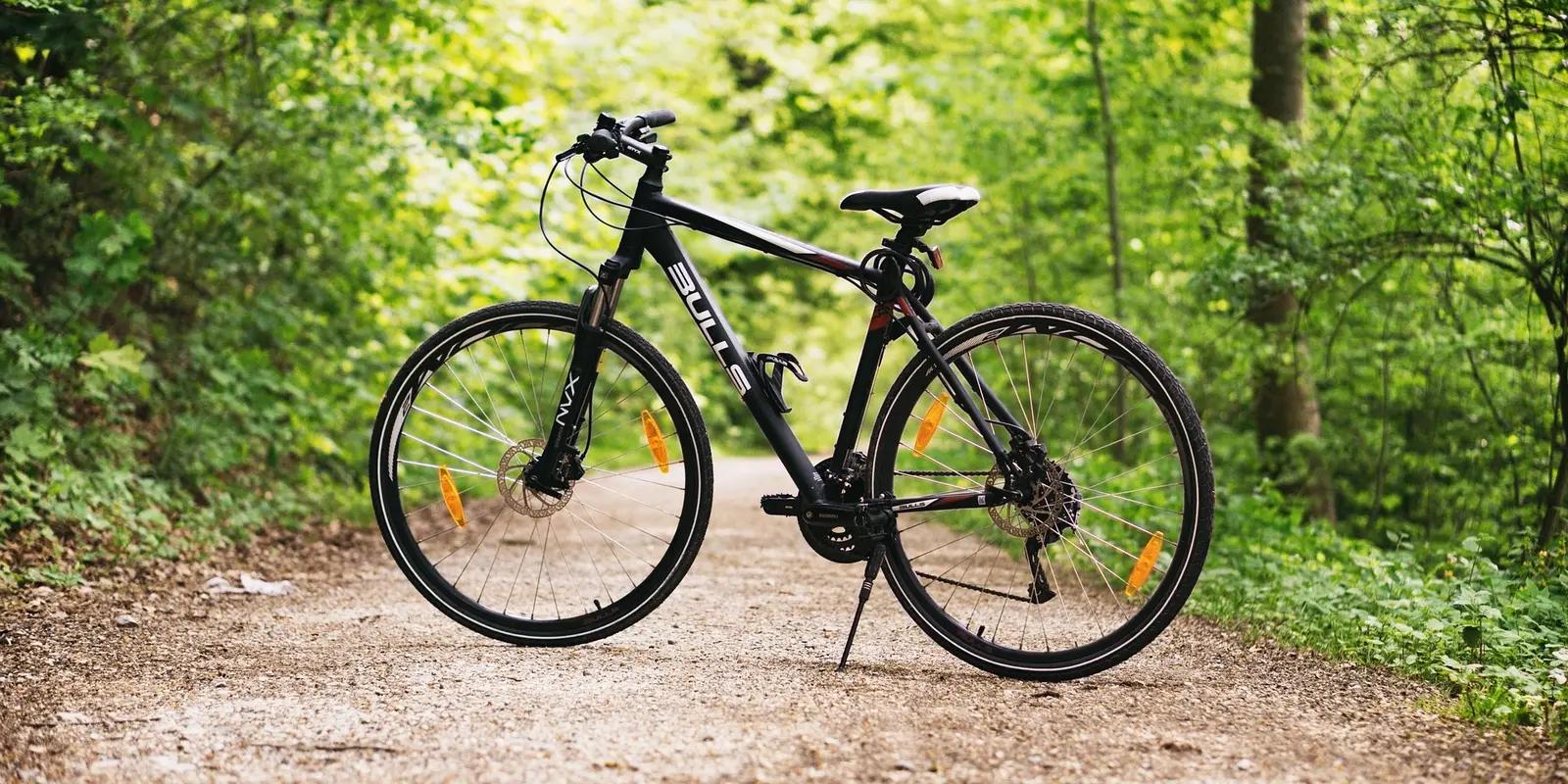 A sleek black hybrid bicycle with disc brakes and a sturdy frame stands on a gravel trail, surrounded by vibrant green forest foliage.