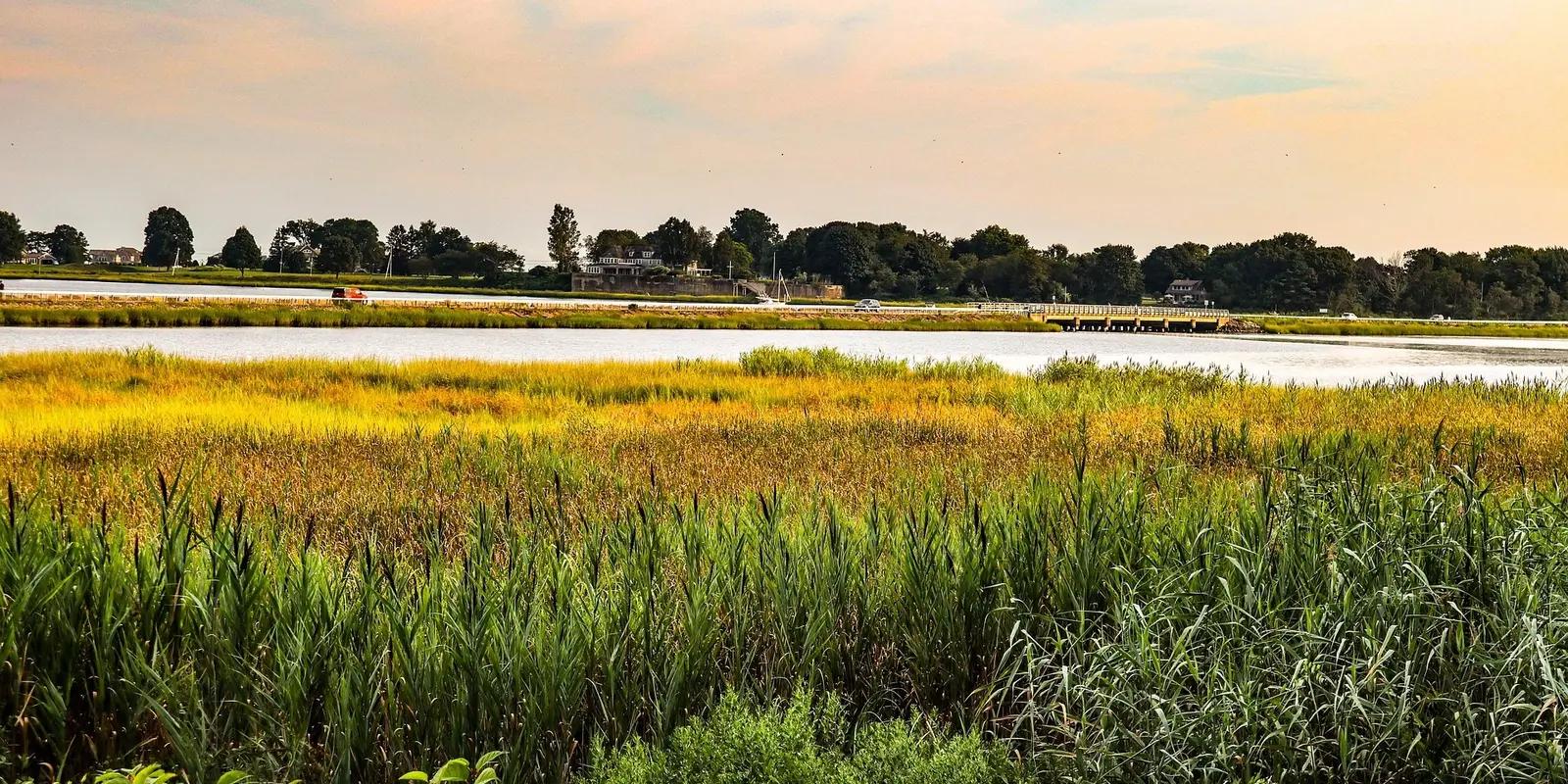 Coastal wetland marsh in Connecticut with tall grasses, calm water, and treeline under sunset sky.