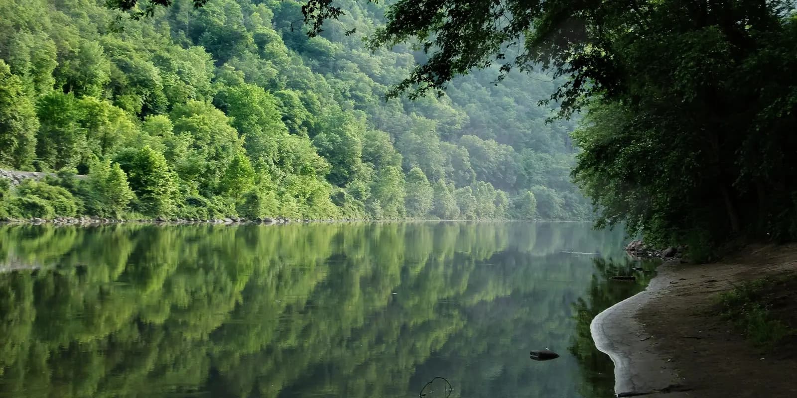 Serene Delaware river with lush green forest reflections and calm waters in summer.