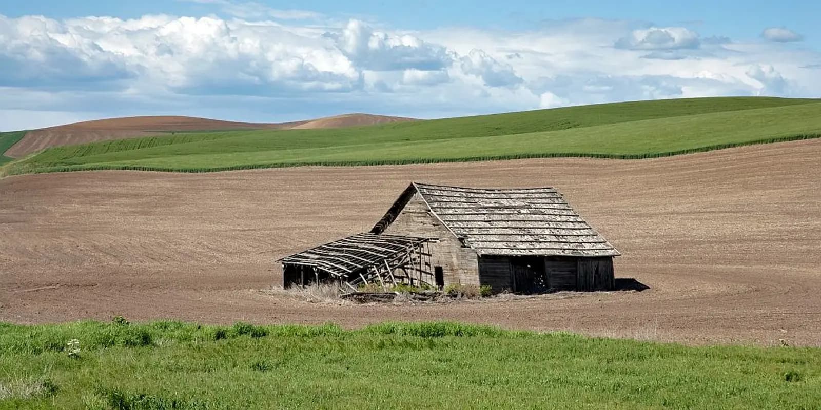 Weathered old barn in plowed Idaho farmland with rolling green hills and dramatic clouds.