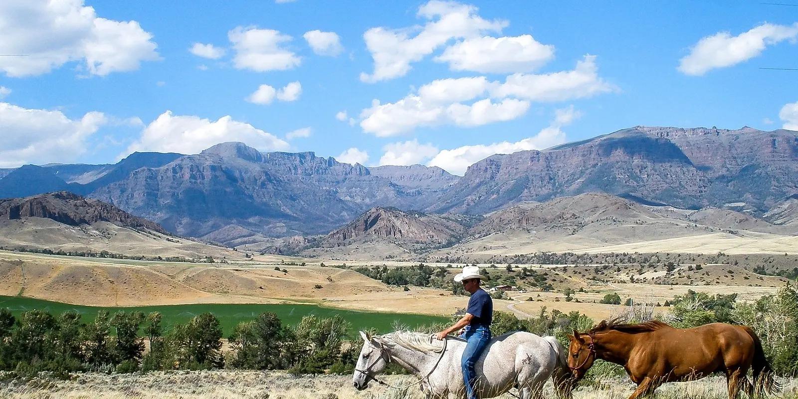 Horseback rider on white horse with brown horse alongside against Montana mountain landscape.