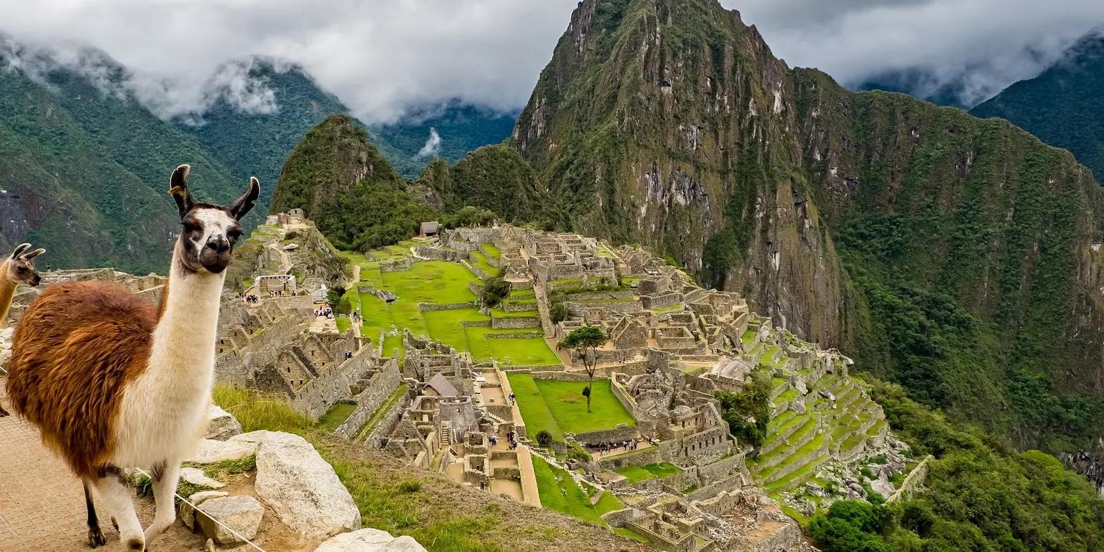 A scenic view of Machu Picchu in Peru, featuring the ancient Incan ruins surrounded by lush green mountains, with a llama in the foreground walking along a stone path.