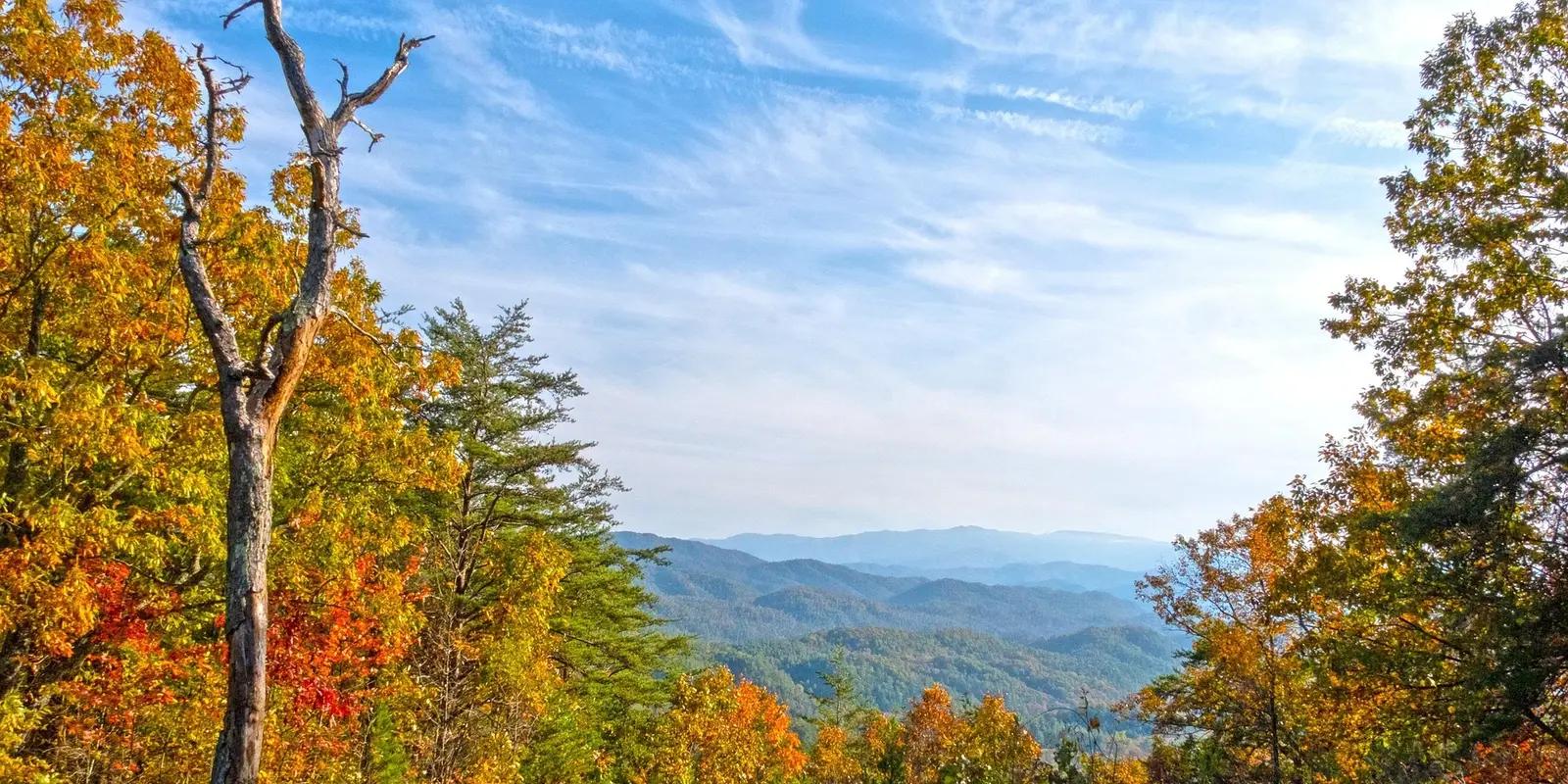 A scenic view of the Tennessee mountains during autumn, featuring colorful fall foliage, a clear blue sky, and rolling hills stretching into the distance.