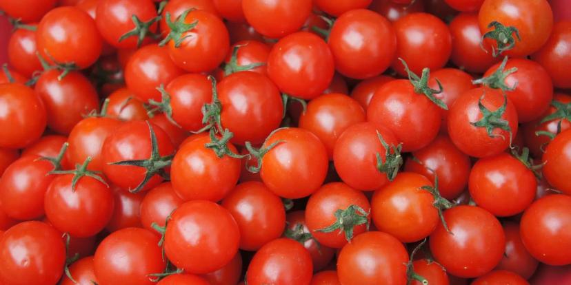 Tomatoes
