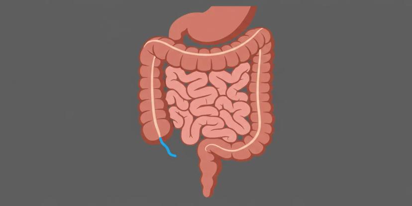 Appendix