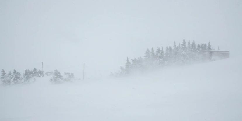 Blizzards
