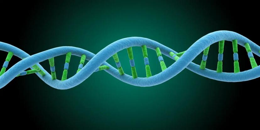 DNA