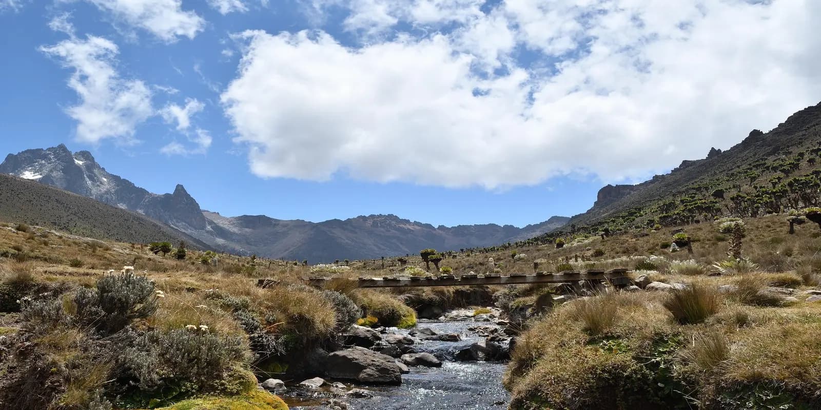 Scenic landscape of Mount Kenya National Park featuring a flowing stream with a wooden bridge, rocky terrain, and alpine vegetation