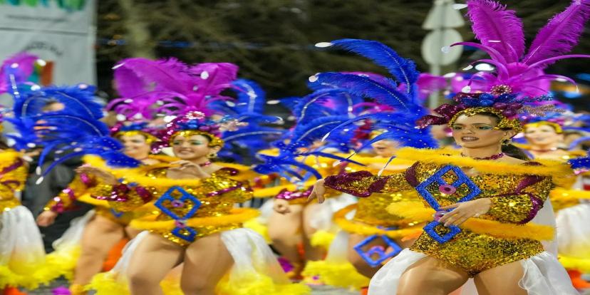 Rio de Janeiro Carnival (Brazil's Carnival)