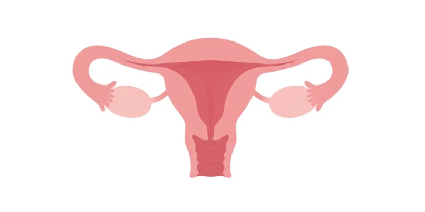 Ovaries