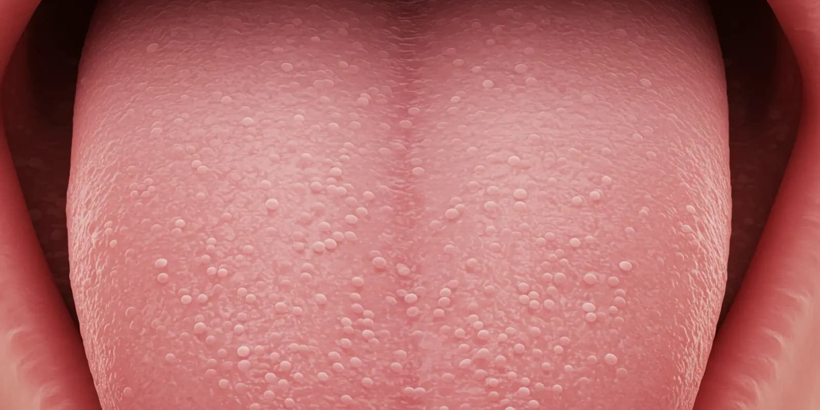 A highly detailed close-up of the surface of a human tongue, showing the small bumps called papillae.