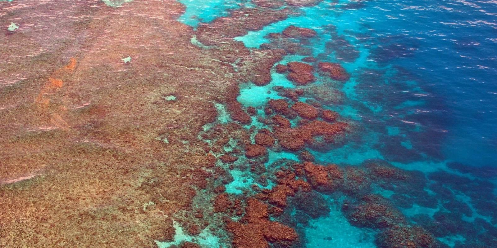 Great Barrier Reef (Australia)