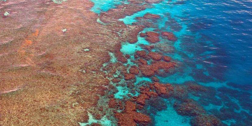 Great Barrier Reef (Australia)