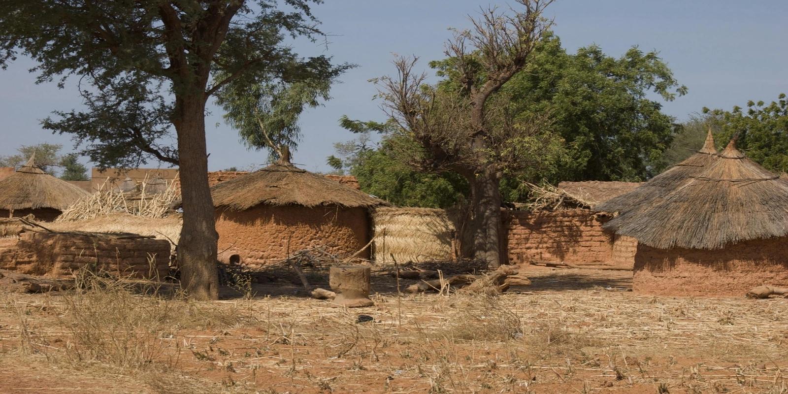 Traditional mud brick huts with thatched conical roofs in a rural village setting in Burkina Faso.
