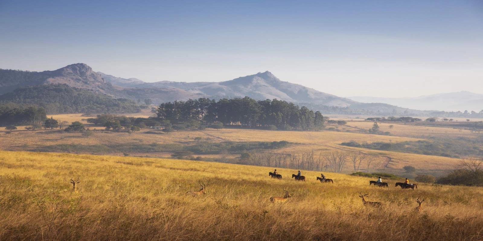 Tourists horseback riding across a golden savanna in Eswatini, with antelope grazing in the foreground and scenic mountains in the hazy distance.