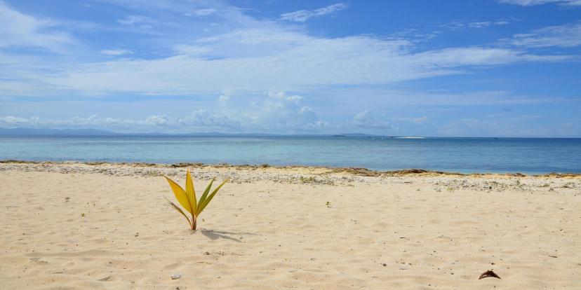 Fiji