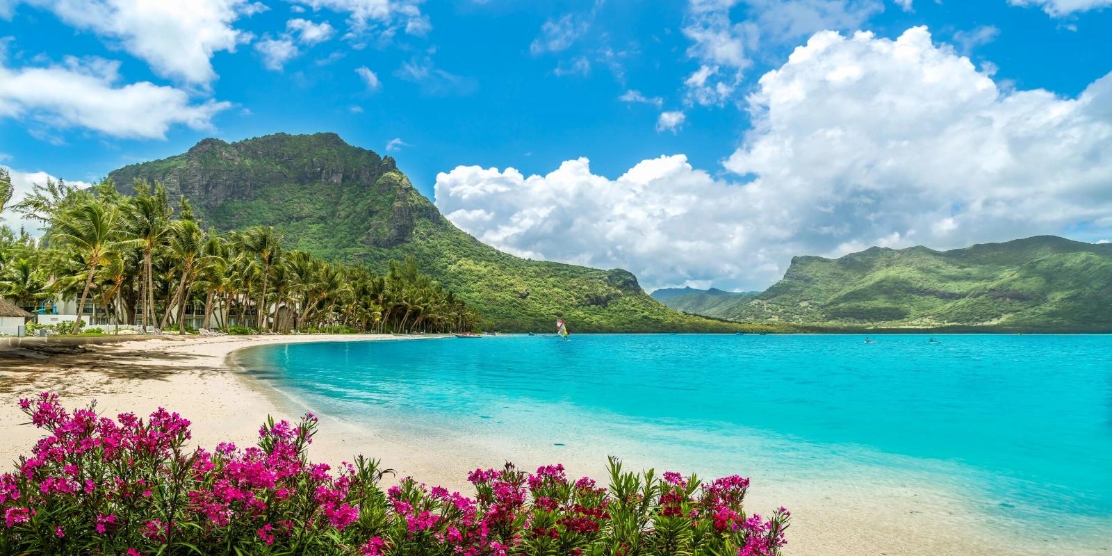 Scenic view of Le Morne Public Beach in Mauritius, with bright turquoise water, white sand, lush green mountains, and vibrant pink flowers in the foreground.