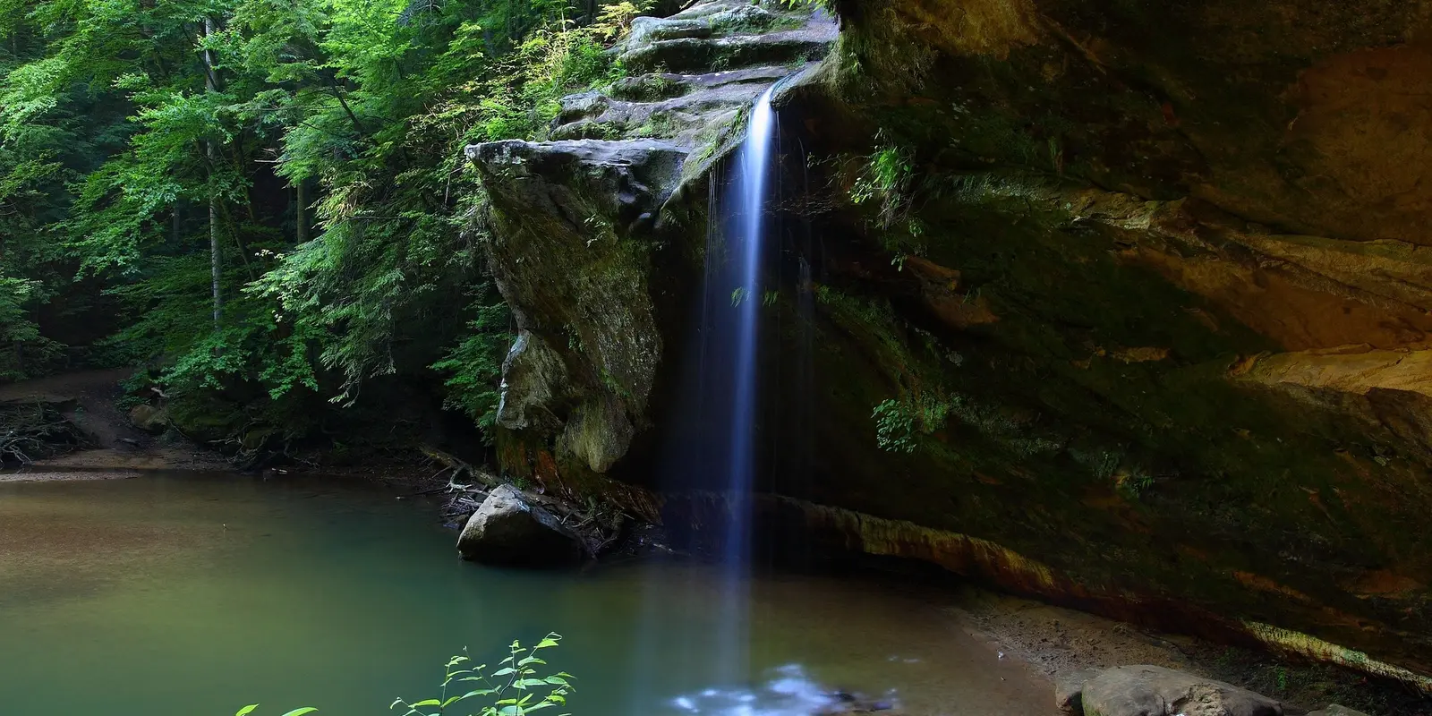 A serene waterfall in West Virginia cascades from a rocky overhang into a calm, greenish pool, surrounded by lush forest greenery, creating a tranquil nature scene.